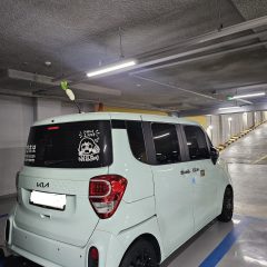 울산 병원 가는 길 진짜 어렵고