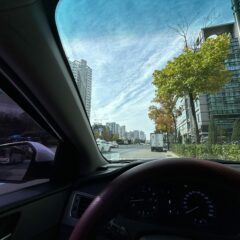 울산 길은 완전히 다르더라고요