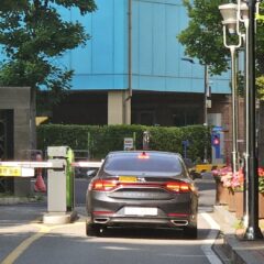 친구와의 자유로운 여행