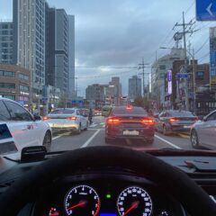 동료와 함께 타는 차 운전