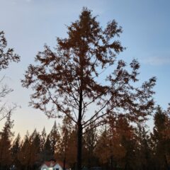 울산 주차 실수 많았어요