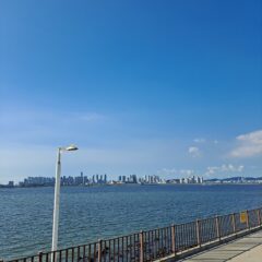 울산 근처 도로 너무 무섭었어요