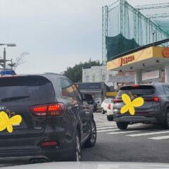 울산 가로등 아래 운전 너무 무서웠어요