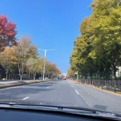 전혀 두려움 없는 강의